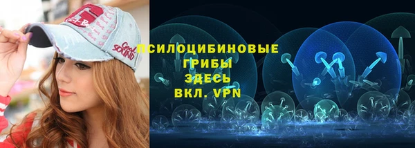 первитин Алексеевка