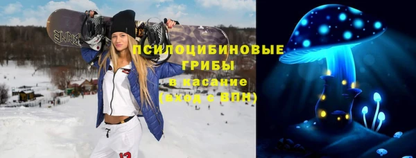 первитин Алексеевка