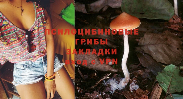 спайс Алзамай