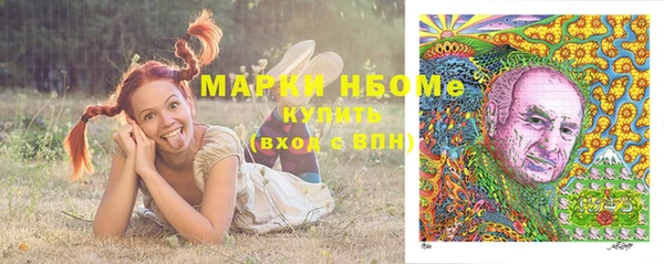 соль ск Алексин