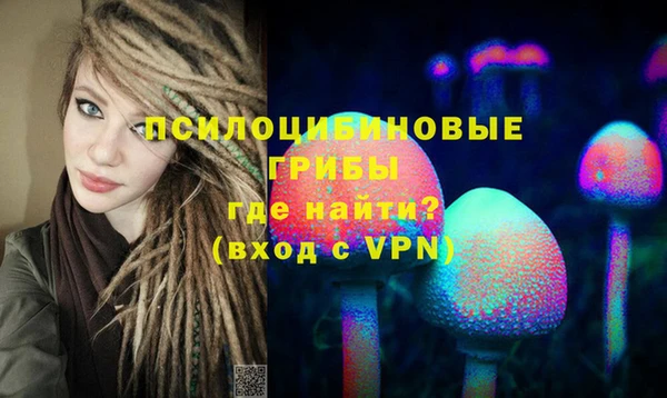 первитин Алексеевка