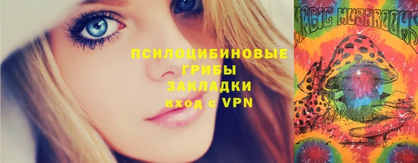 соль ск Алексин