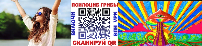 Псилоцибиновые грибы Psilocybe  hydra   Осинники 