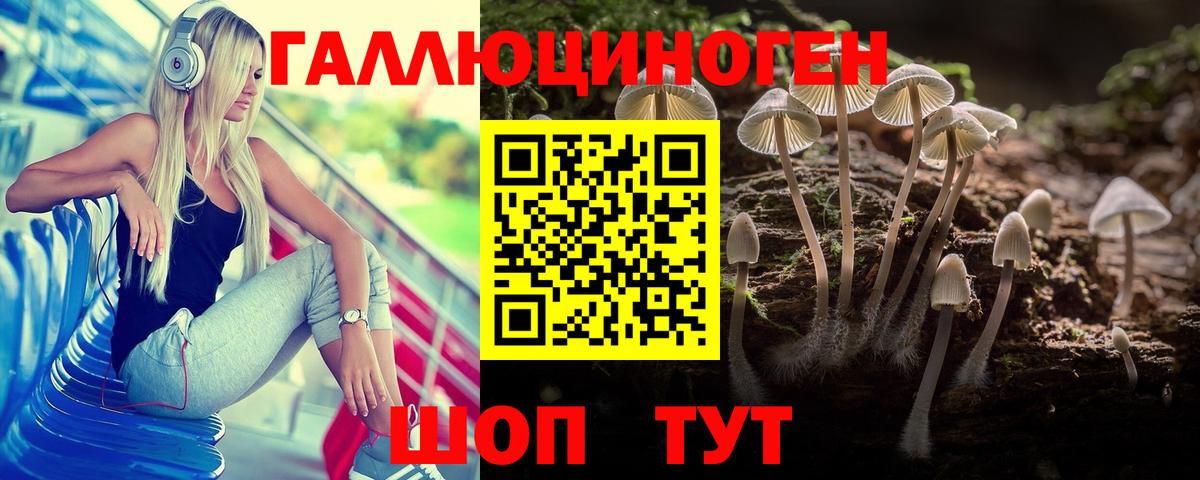 Галлюциногенные грибы мицелий Осинники